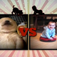 Image for article titled OMG, Puppies Vs. Babies Is A Real TV Show